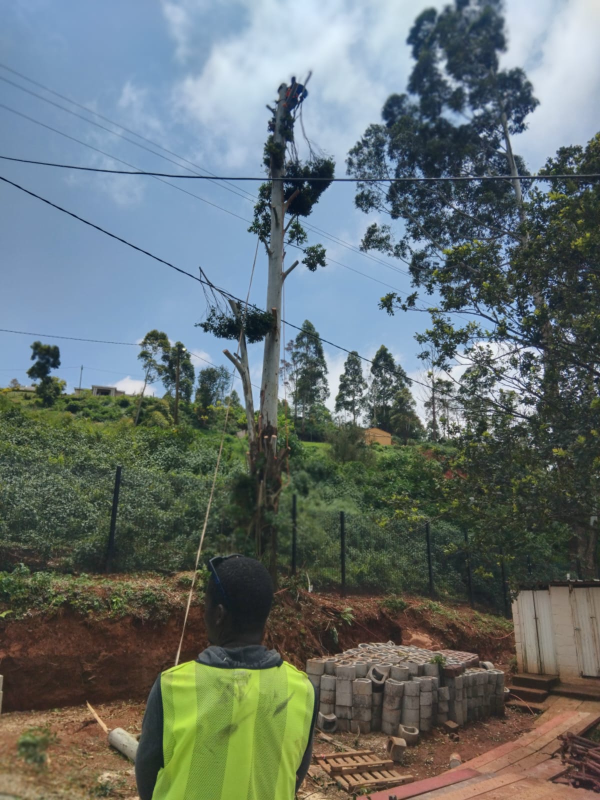 Tree cutting service KwaZulu-Natal
