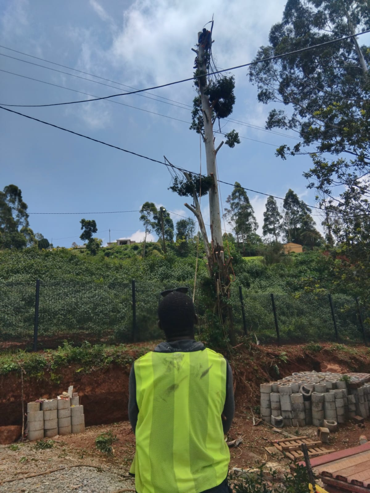 Tree felling equipment