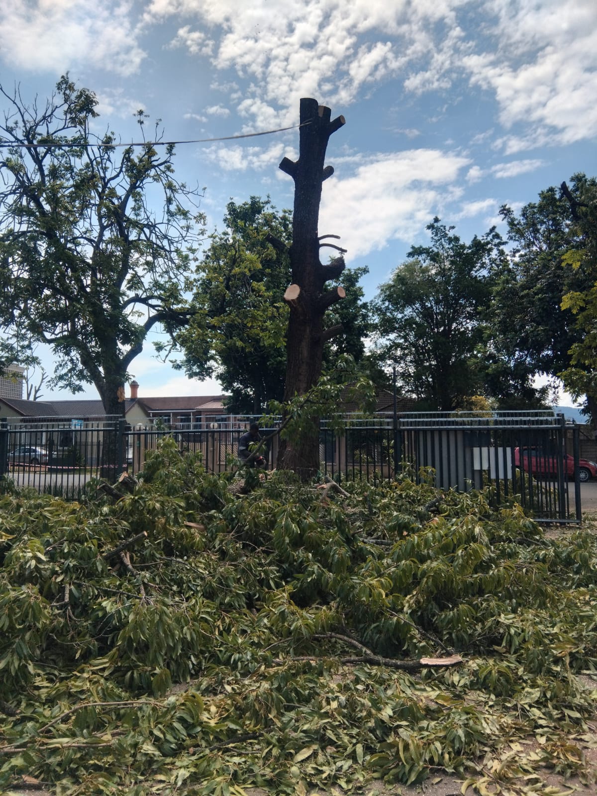 Site clearance project PMB